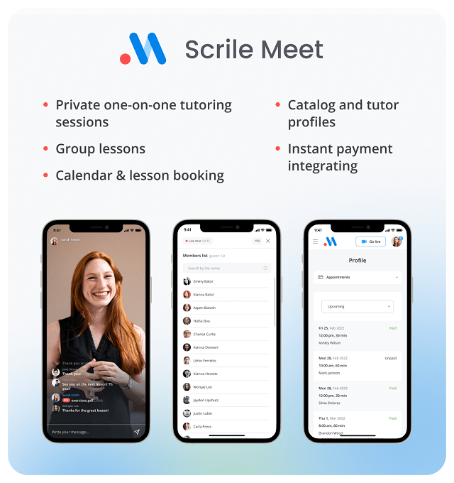 Scrile Meet features